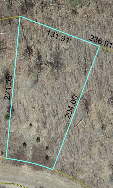 Vacant Land For Sale - LOT 61 Honey Tree Terrace<br/> Danbury, WI 54830