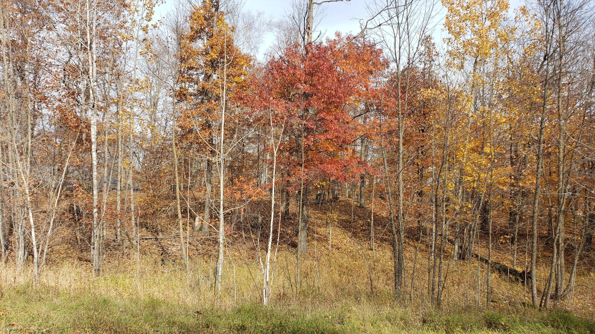 Lot 7 SW Pickerel Lake Road, Detroit Lakes, Minnesota image 12