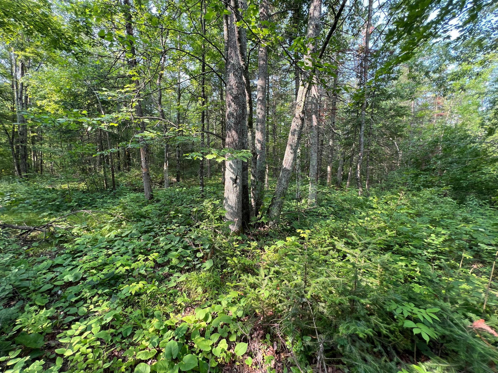 W8804 Timber Trail, Ladysmith, Wisconsin image 2