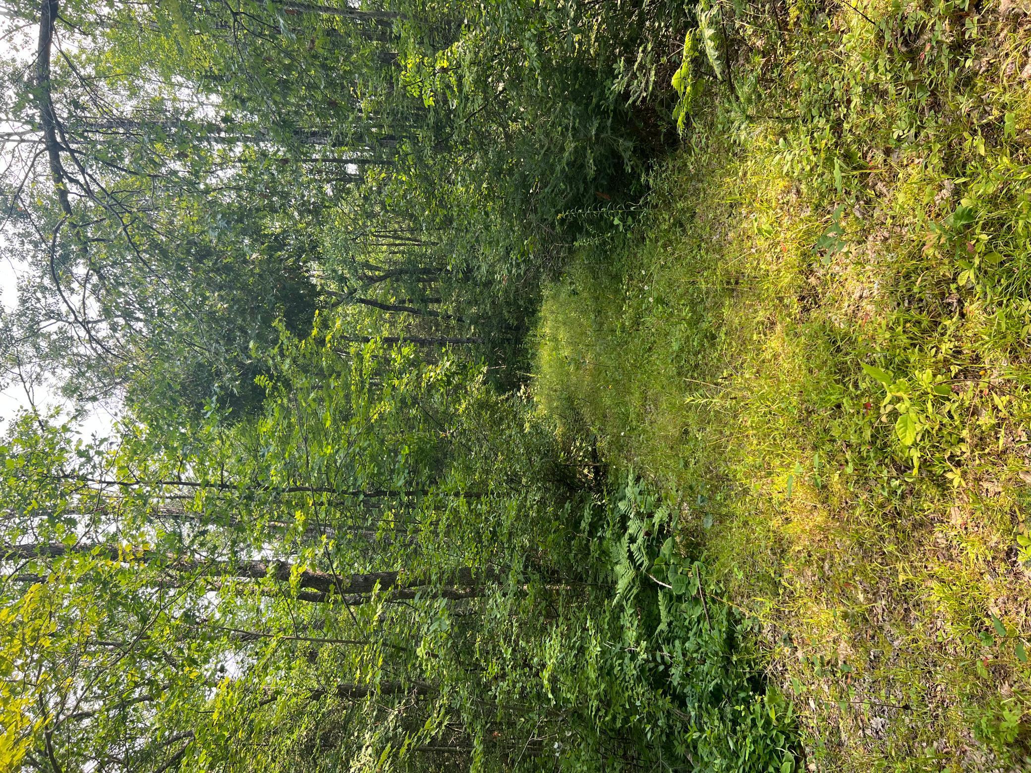 W8804 Timber Trail, Ladysmith, Wisconsin image 7