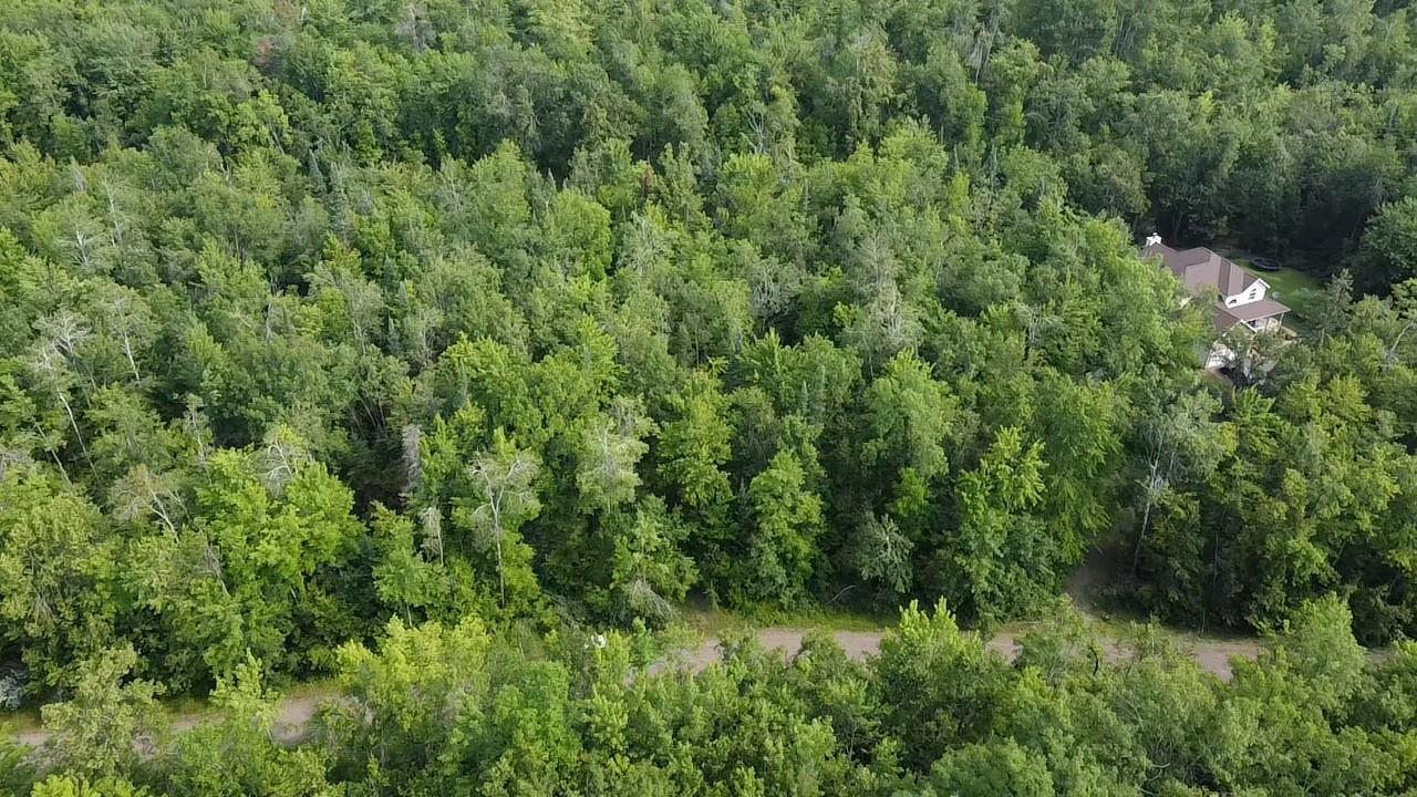 W8804 Timber Trail, Ladysmith, Wisconsin image 8