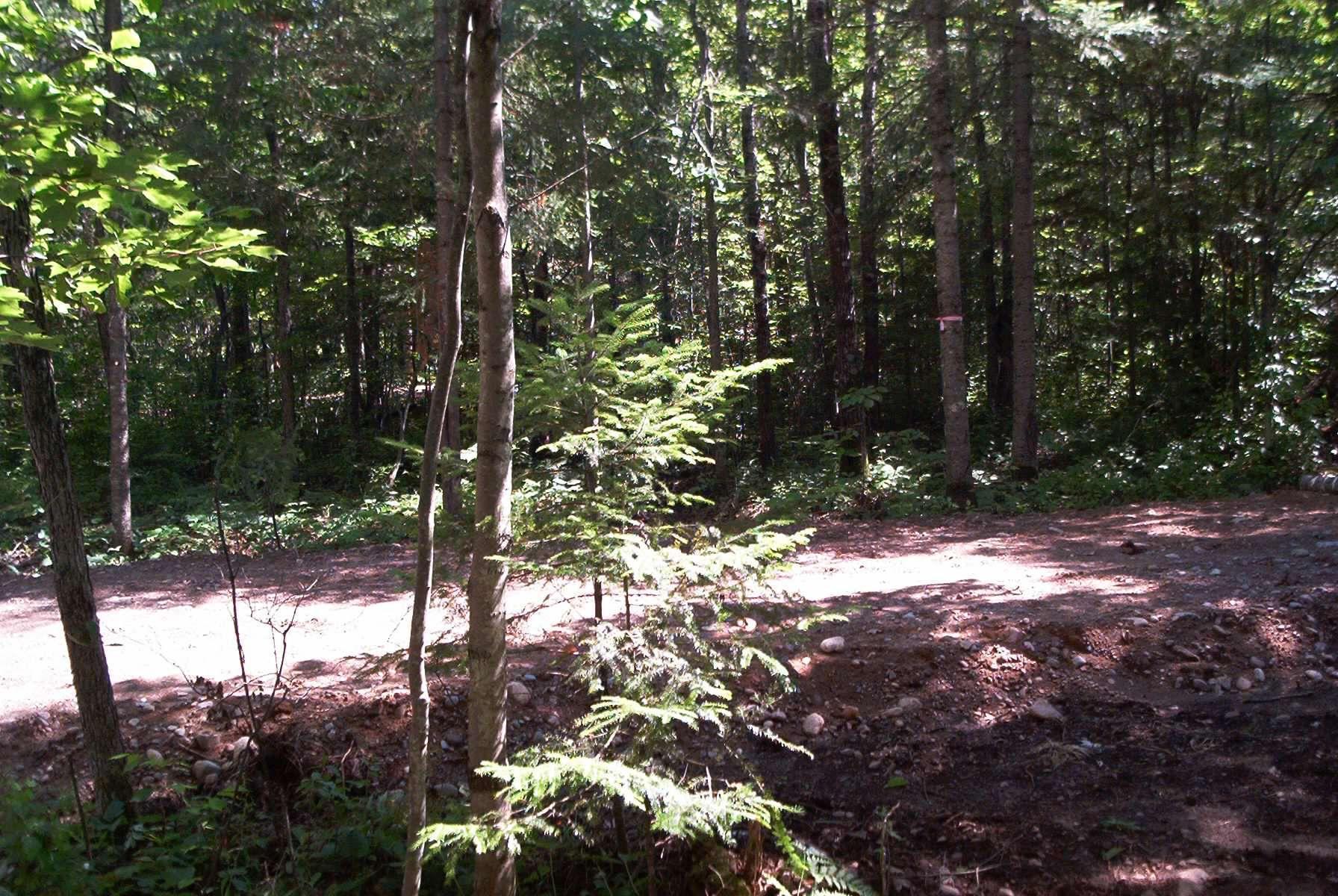 W8804 Timber Trail, Ladysmith, Wisconsin image 4