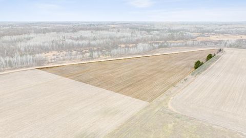 Vacant Land For Sale - PARCEL WEST Hay Creek Road<br/> Pine River, MN 56474