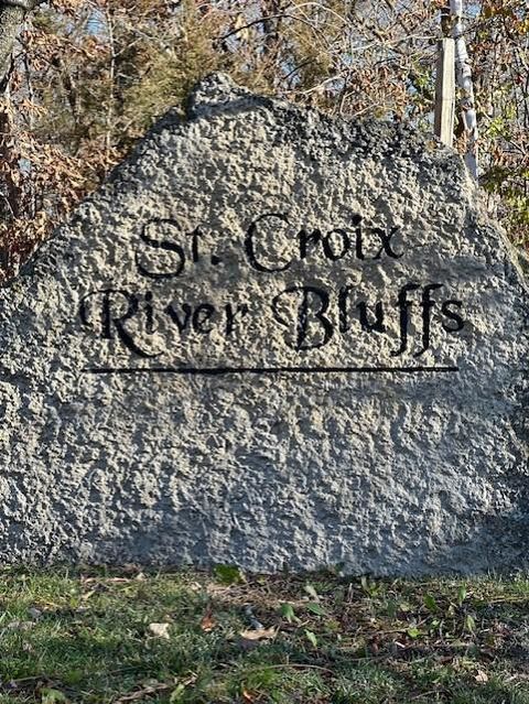 Vacant Land For Sale - XXX 263rd Street<br/> Shafer, MN 55074