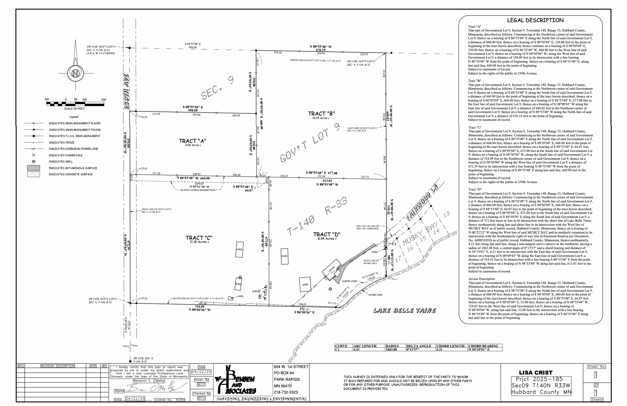 Lot 10 Acre NE 239th Avenue, Nevis, Minnesota image 2