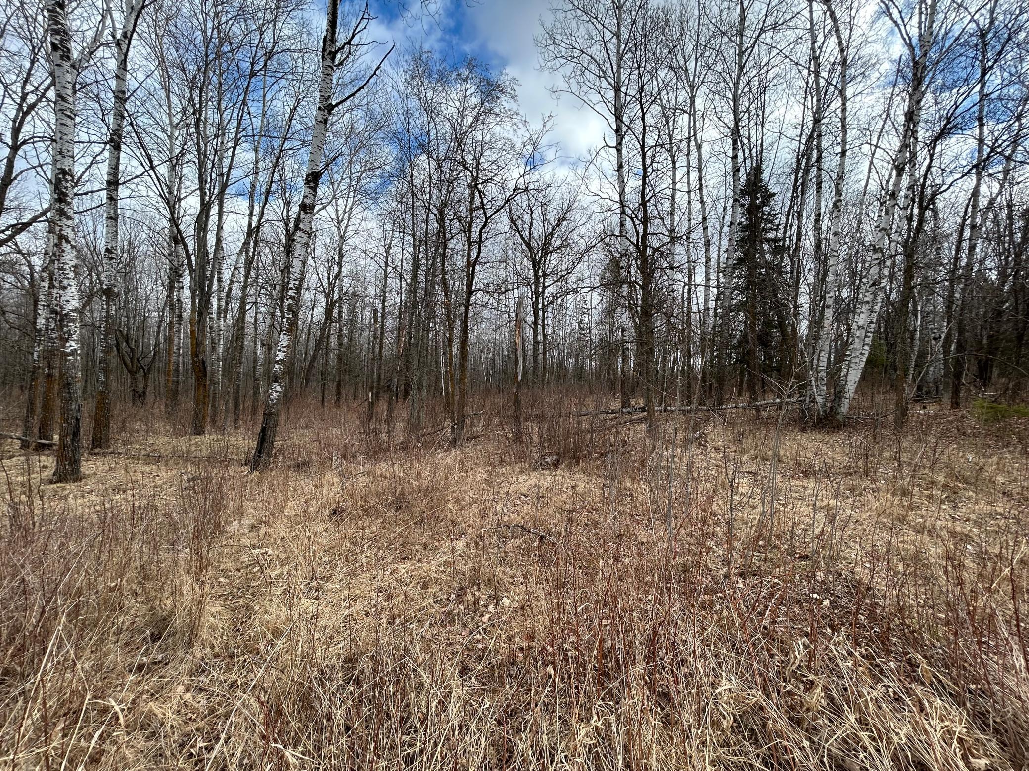 TBD 48th Ave, Pine River, Minnesota image 1