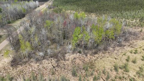 Vacant Land For Sale - TBD 30th Ave<br/> Isle, MN 56342