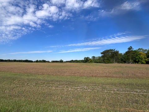 Vacant Land For Sale - TBD LOT 2 BLK 2 Chainview Drive<br/> Douglas County, Alexandria, MN 56308