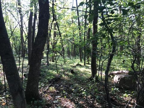 Vacant Land For Sale - 125 Oak Turnagain Court<br/> Pope County, Glenwood, MN 56334