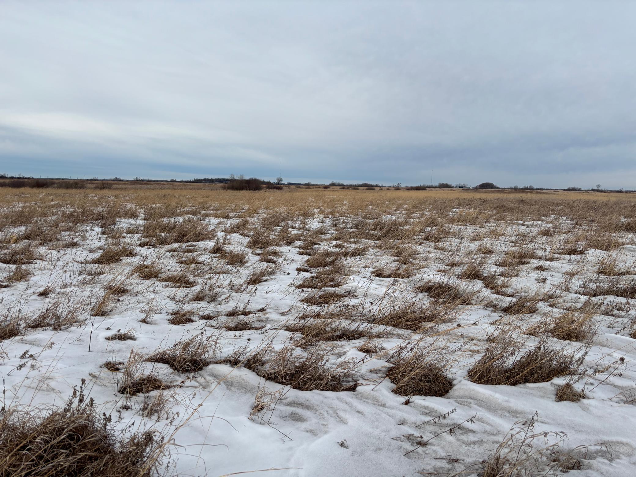 TBD Hwy 59, Mahnomen, Minnesota image 5