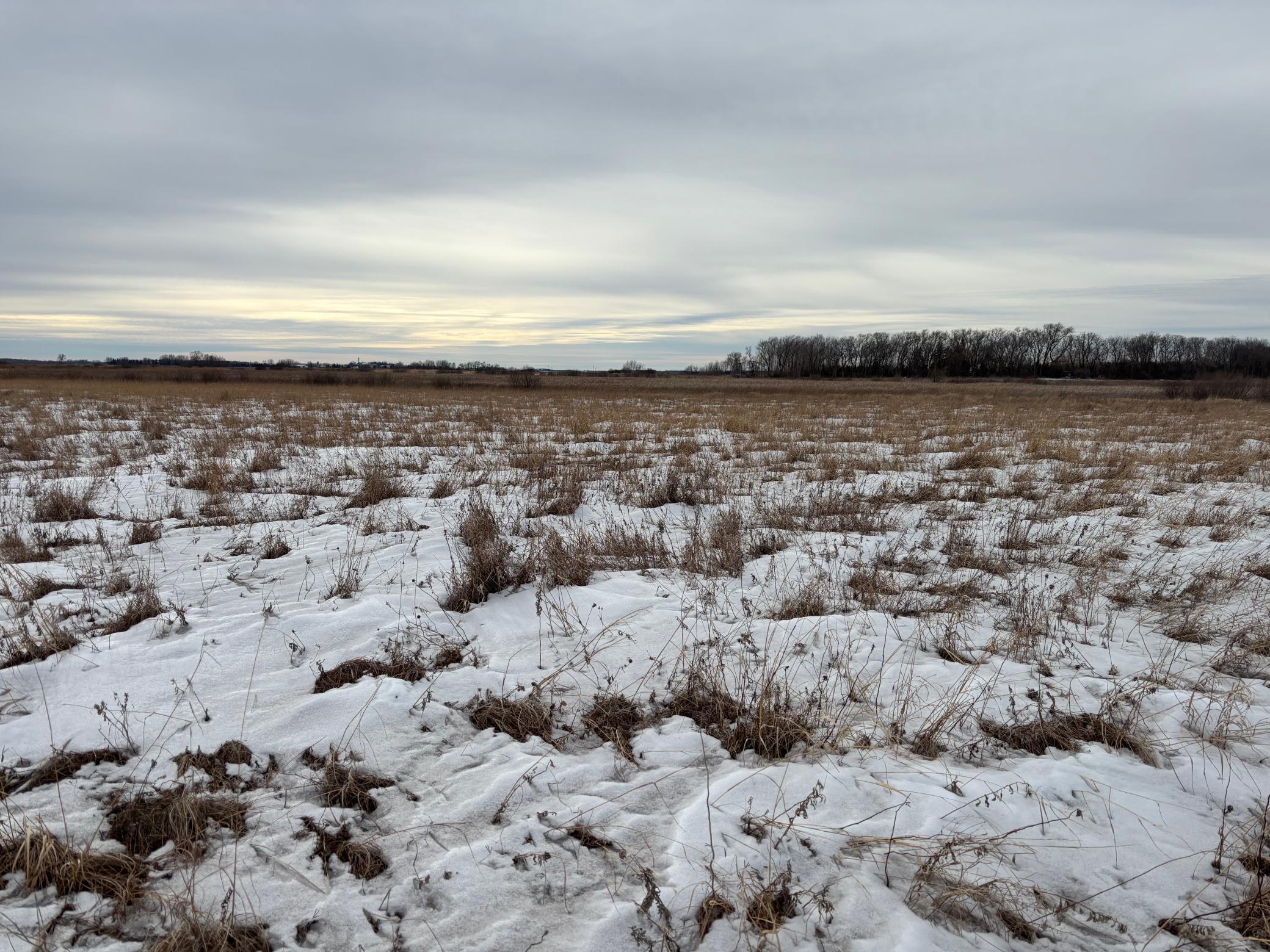 TBD Hwy 59, Mahnomen, Minnesota image 6
