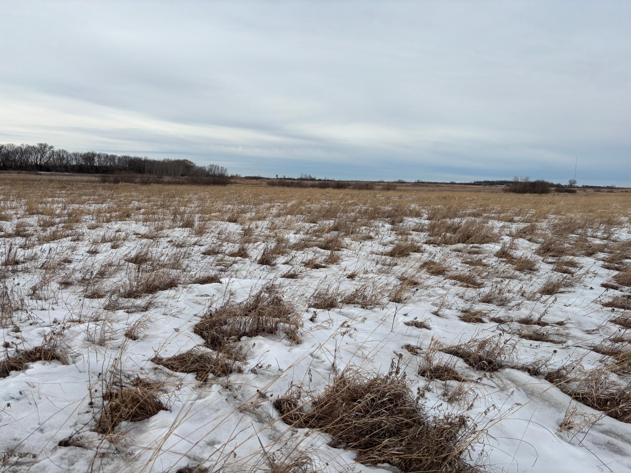 TBD Hwy 59, Mahnomen, Minnesota image 7
