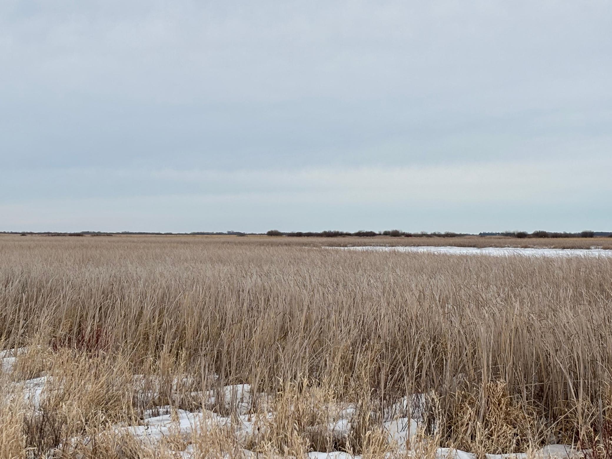 TBD Hwy 59, Mahnomen, Minnesota image 9