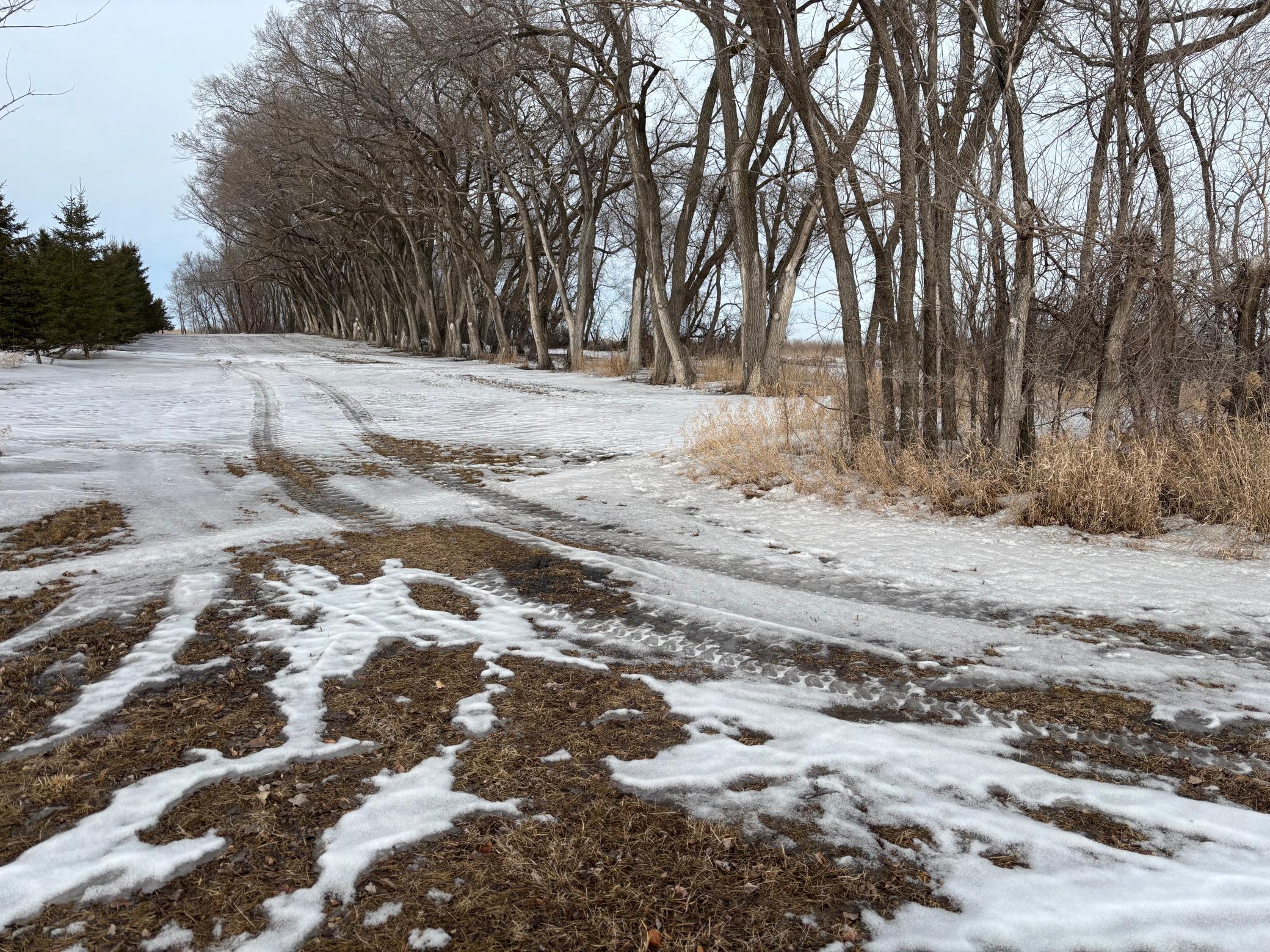 TBD Hwy 59, Mahnomen, Minnesota image 3