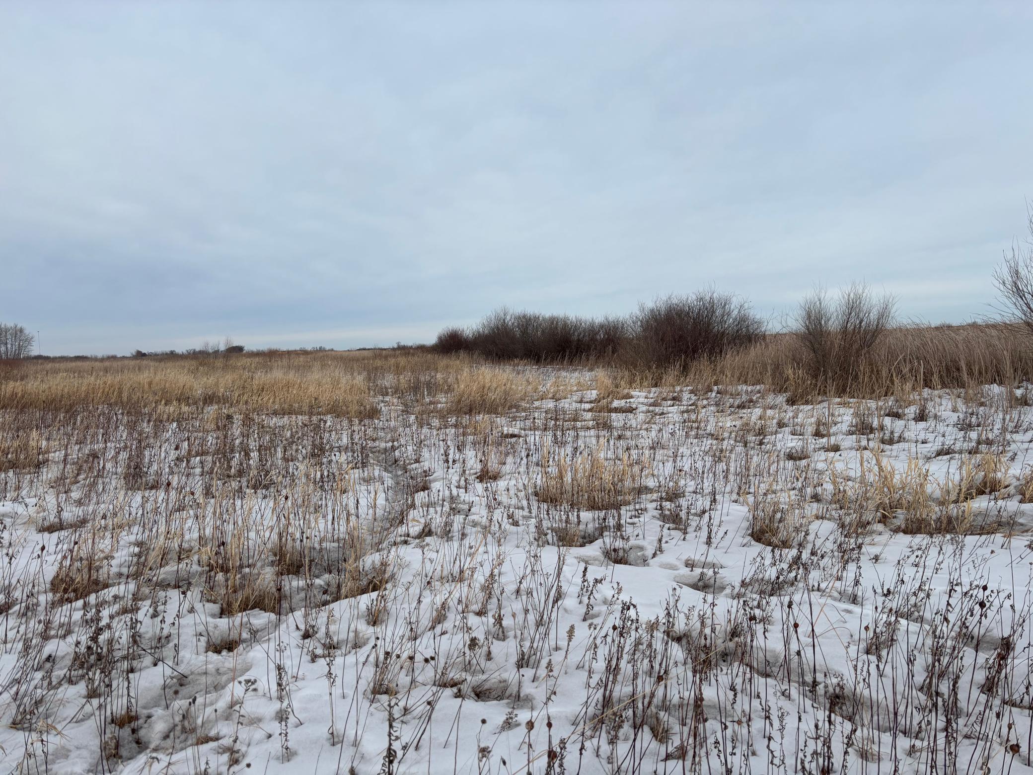 TBD Hwy 59, Mahnomen, Minnesota image 11