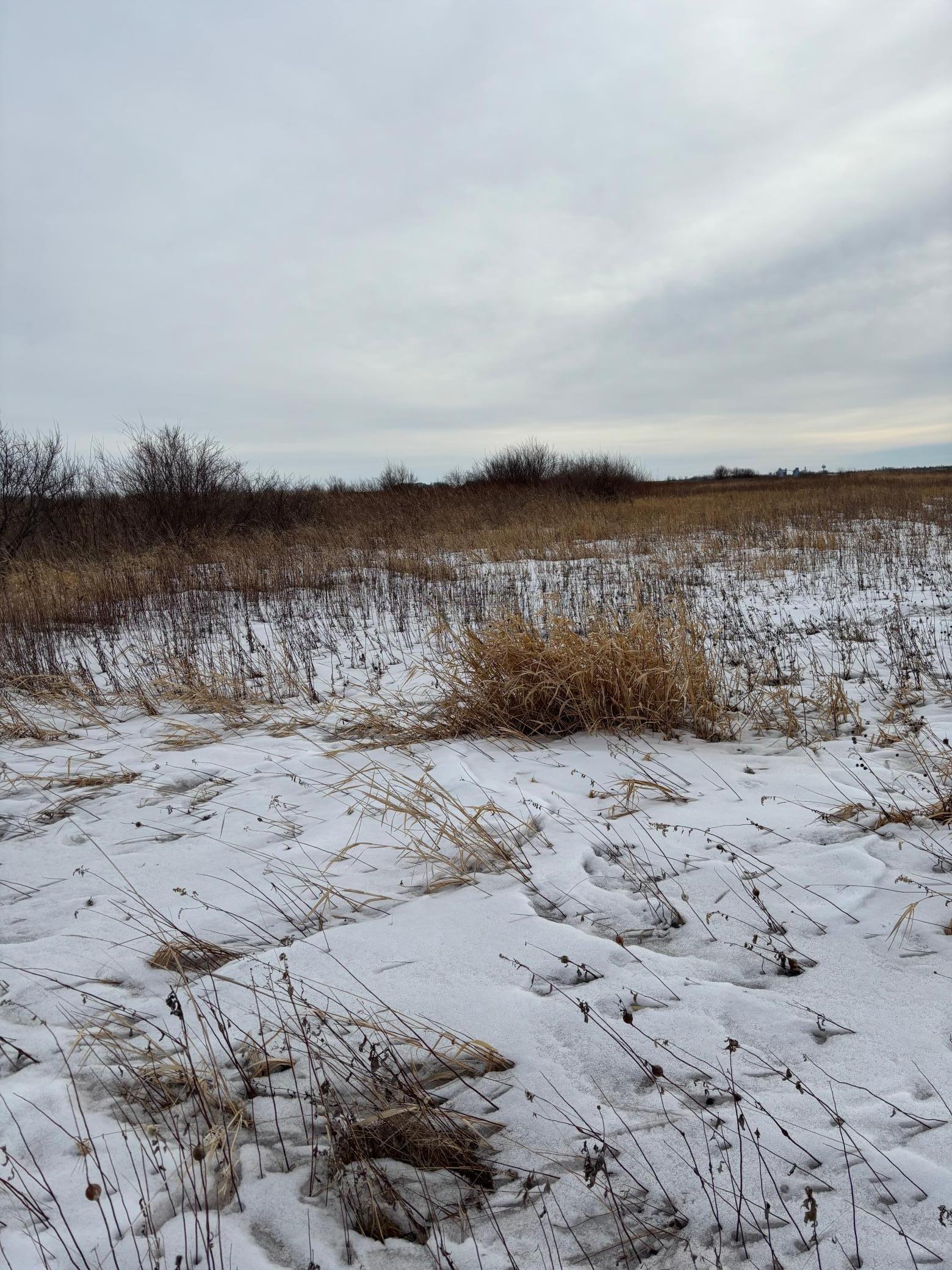 TBD Hwy 59, Mahnomen, Minnesota image 4