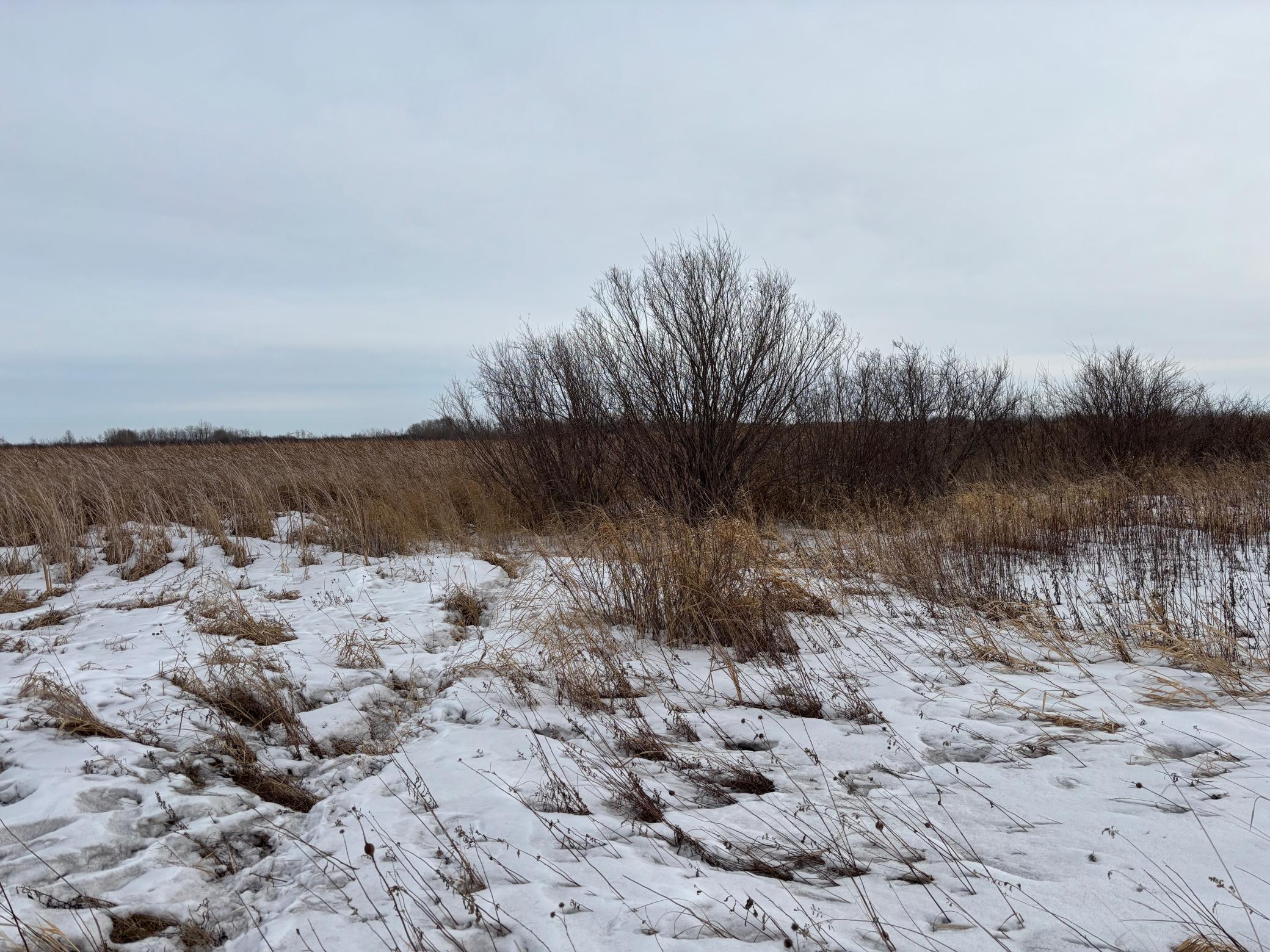 TBD Hwy 59, Mahnomen, Minnesota image 10