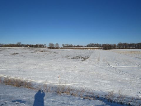 Vacant Land For Sale - 7900 Lace Avenue<br/> Mcleod County, Glencoe, MN 55336