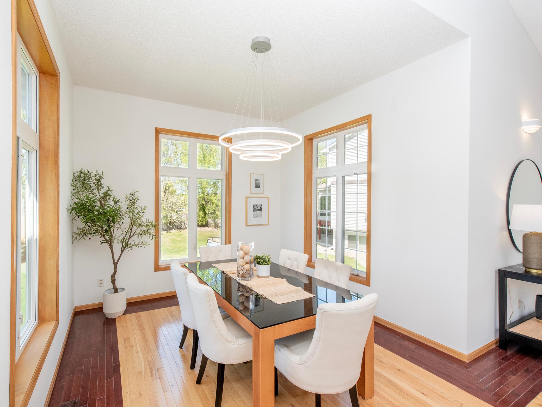 4532 Alicia Drive, Inver Grove Heights, Minnesota image 25