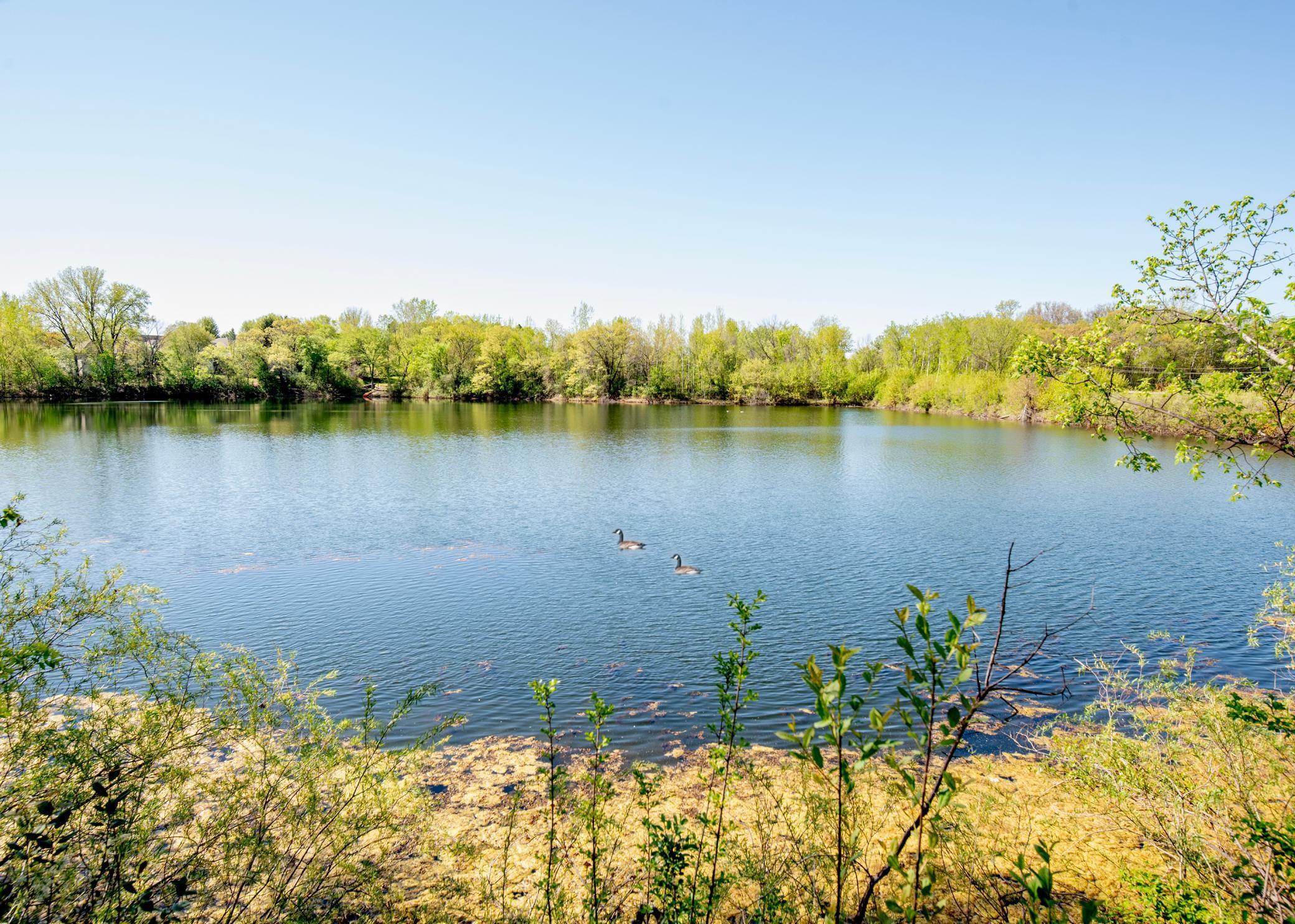 4532 Alicia Drive, Inver Grove Heights, Minnesota image 4