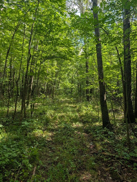 Vacant Land For Sale - 36962 560th Avenue<br/> New York Mills, MN 56567