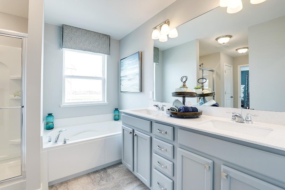 729 Winterberry Lane, Waconia, Minnesota image 10