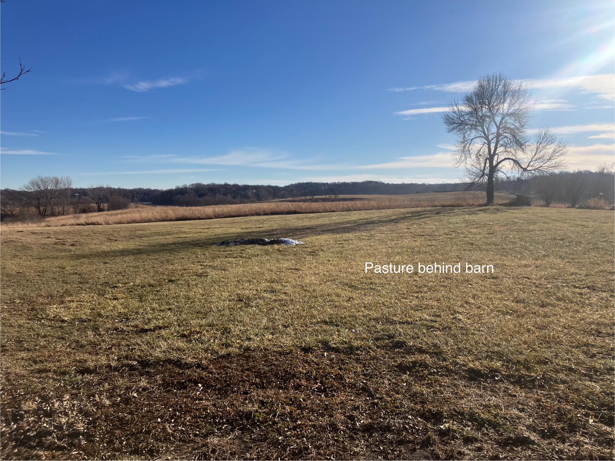 20227 490th Street, Waterville, Minnesota image 5