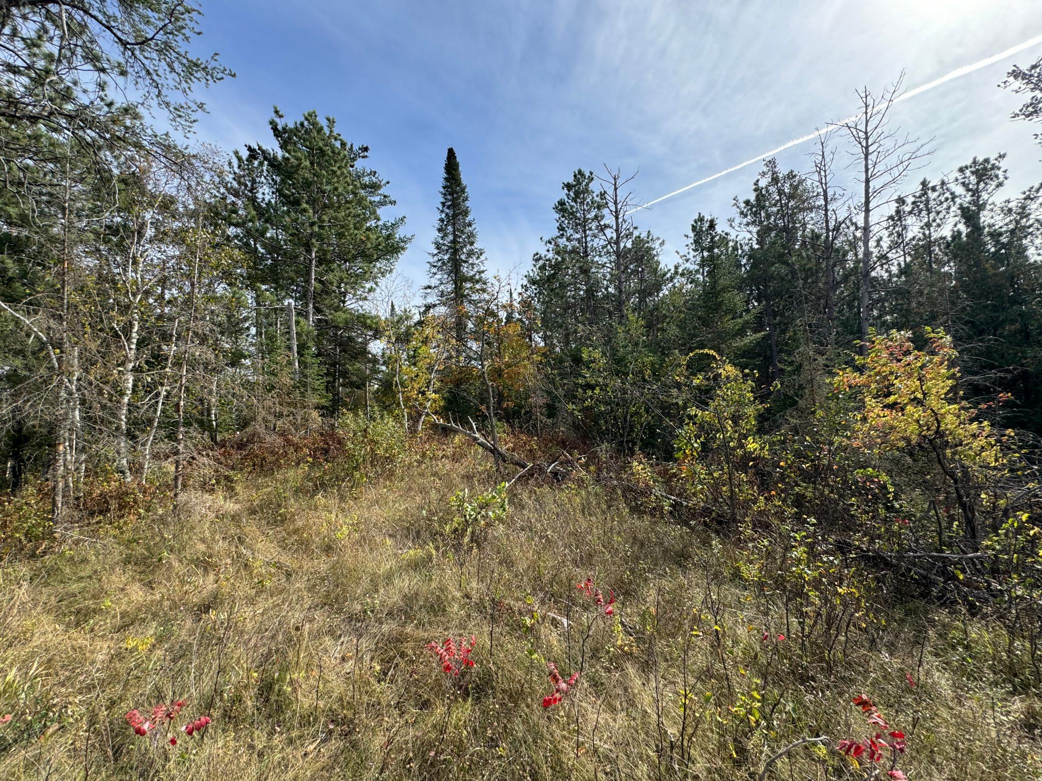 TBD 243rd Avenue, Shevlin, Minnesota image 4