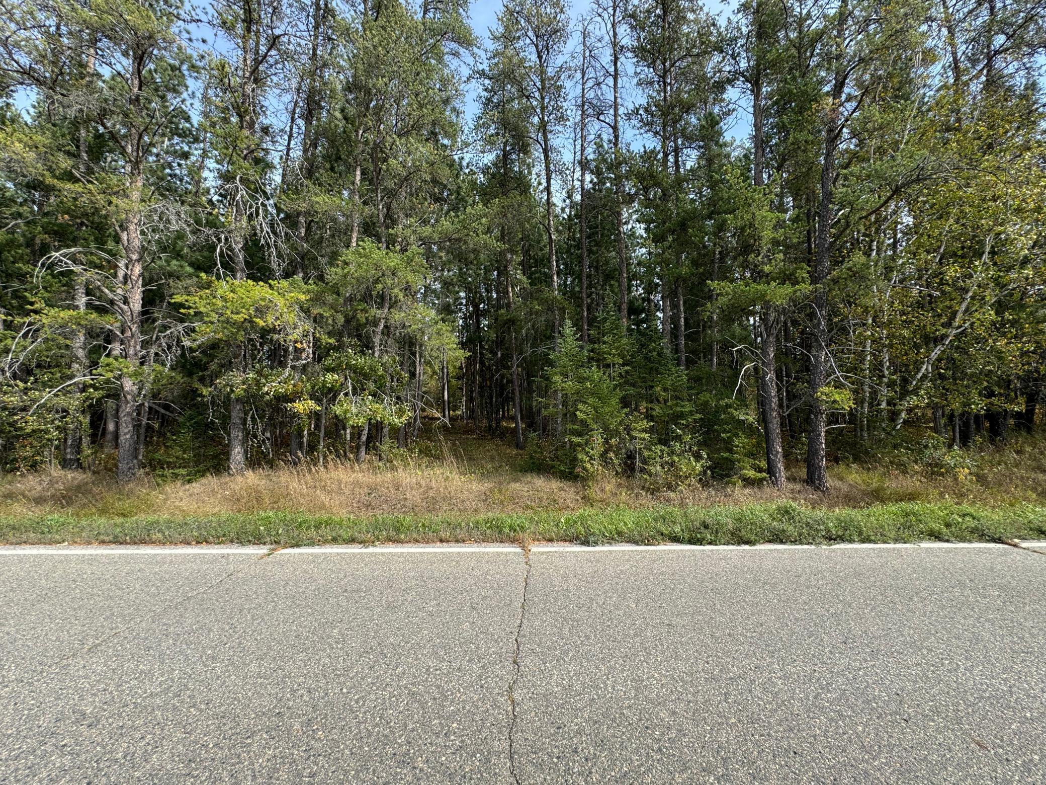 TBD 243rd Avenue, Shevlin, Minnesota image 6