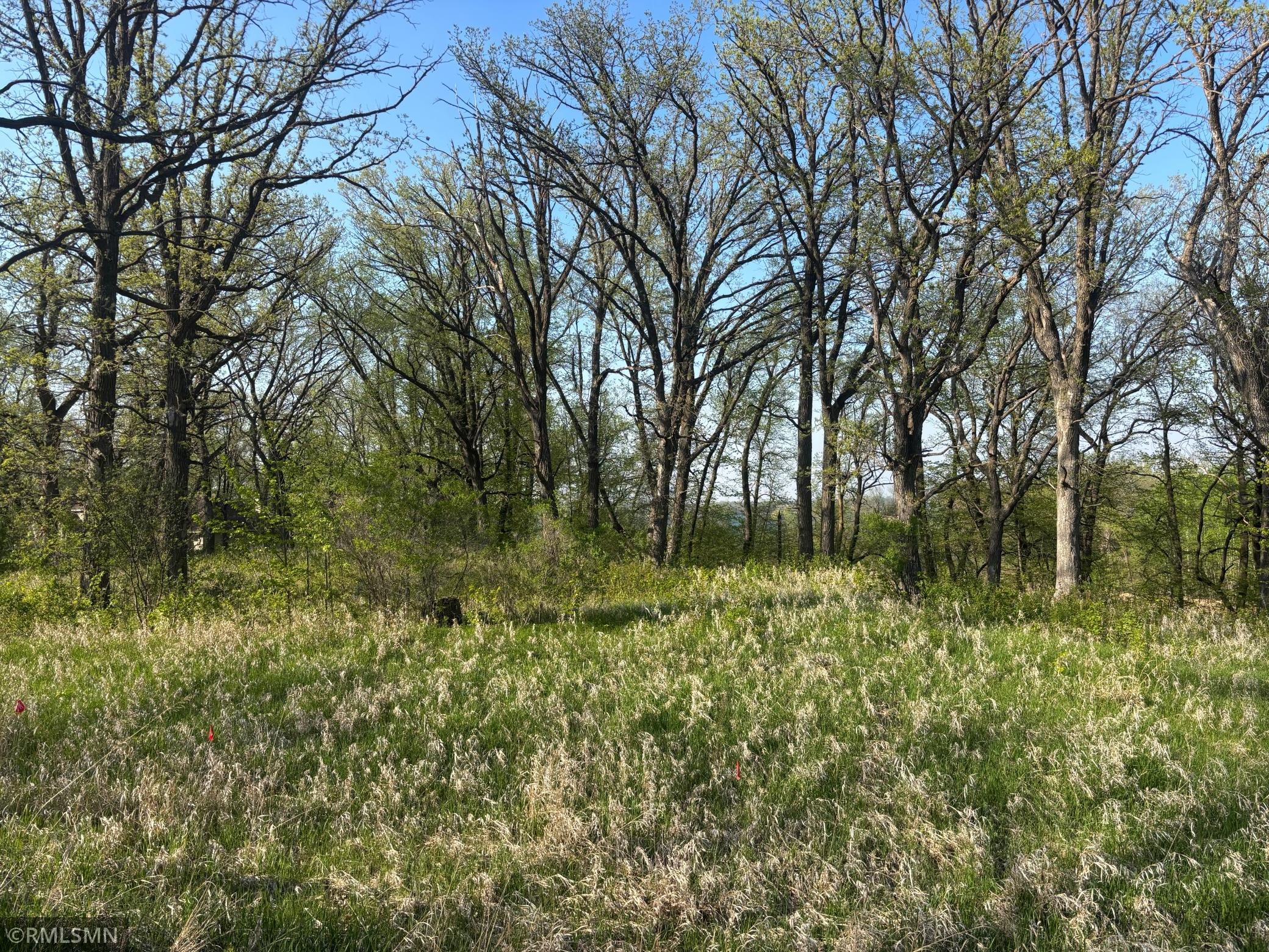 TBD Betsy Ross Rd Nw, Alexandria, Minnesota image 11