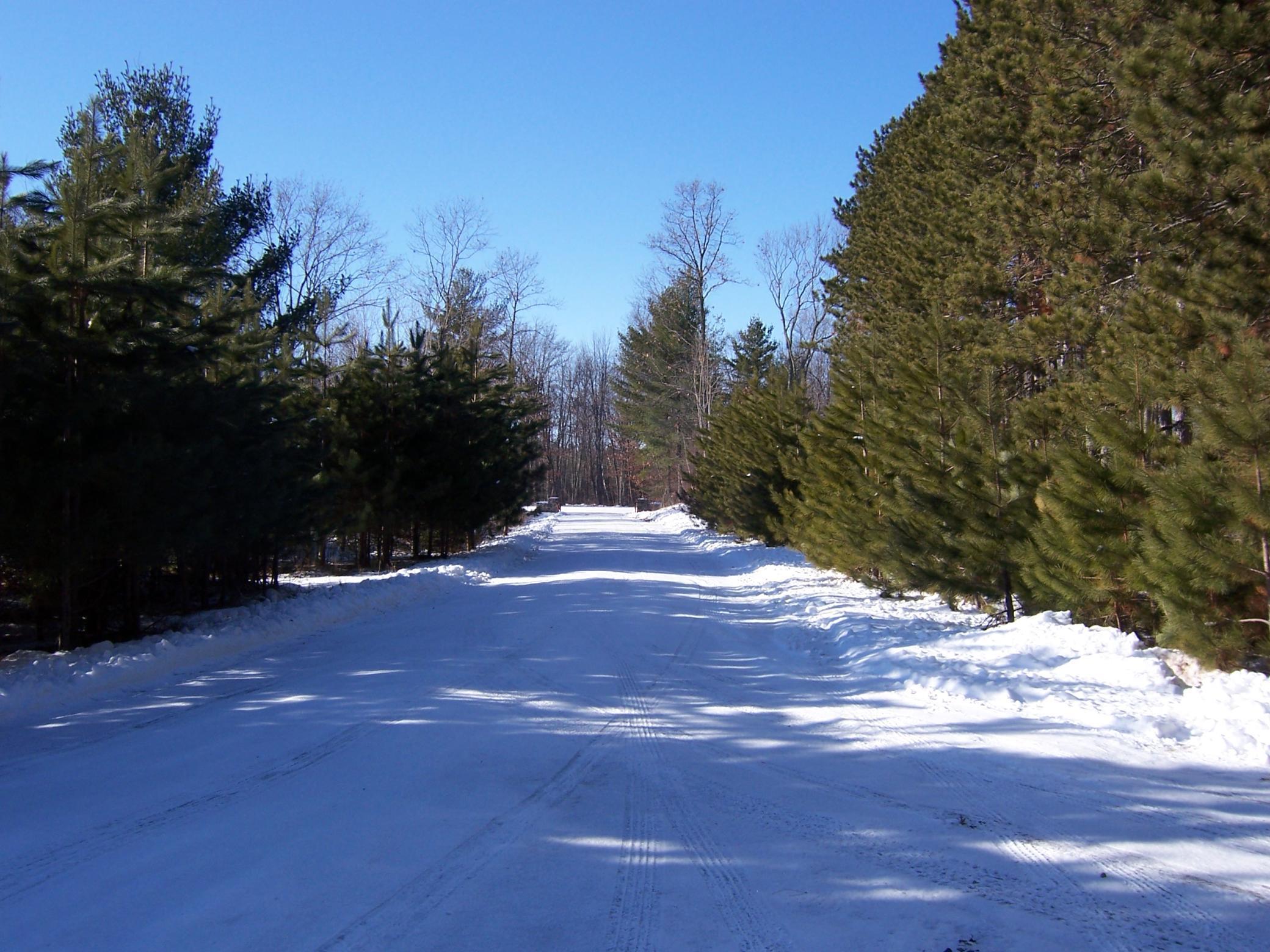 25381 White Oak Dr (lot 310) Dr, Siren, Wisconsin image 22