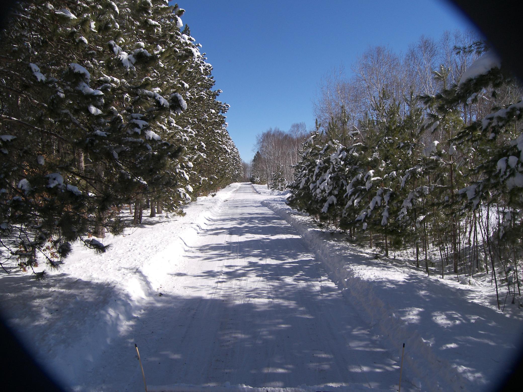 25381 White Oak Dr (lot 310) Dr, Siren, Wisconsin image 20