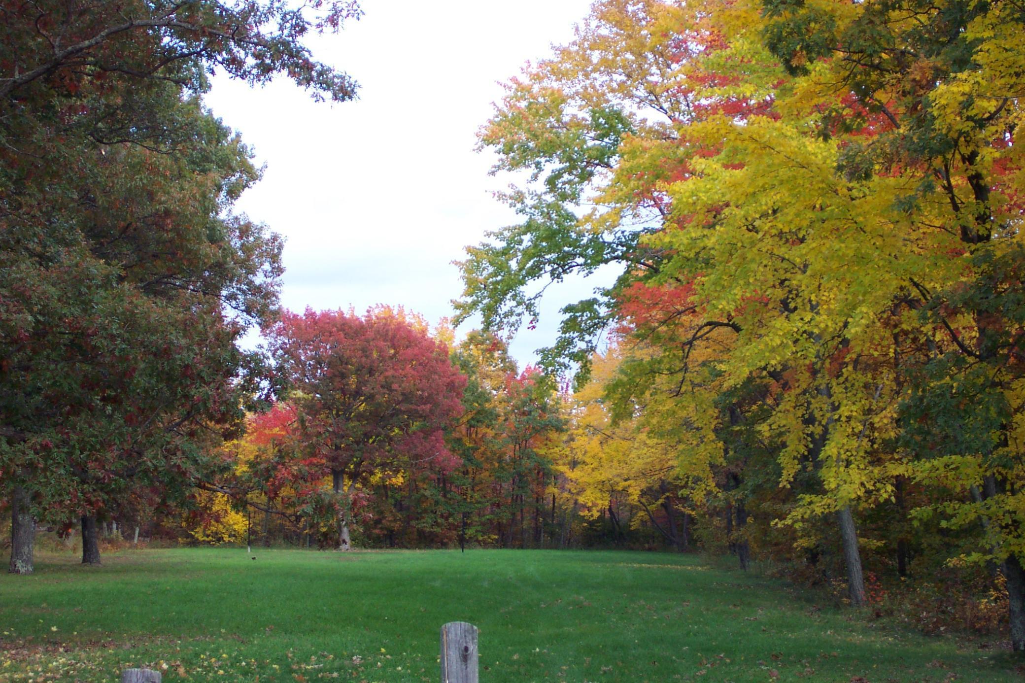 25381 White Oak Dr (lot 310) Dr, Siren, Wisconsin image 13