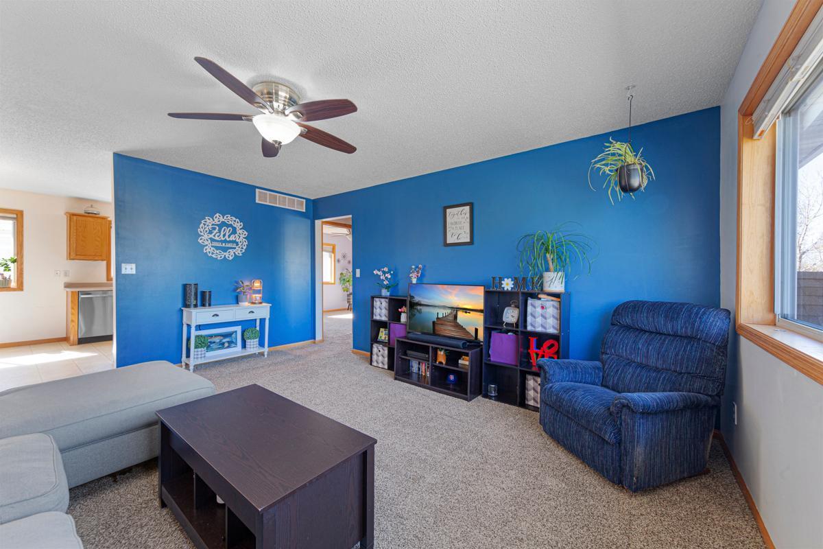 413 Tanager Path, Mankato, Minnesota image 21