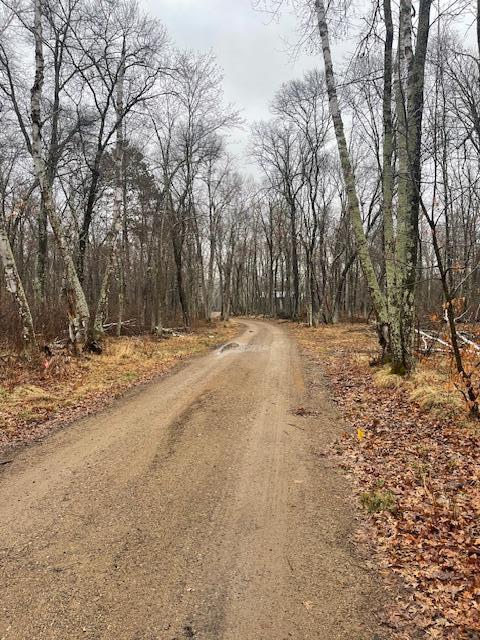 Levi Lane, Crosslake, Minnesota image 1