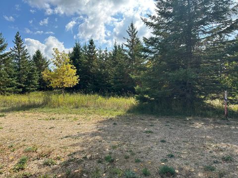 Vacant Land For Sale - 26783 Lidstrom Road<br/> Becker County, Detroit Lakes, MN 56501