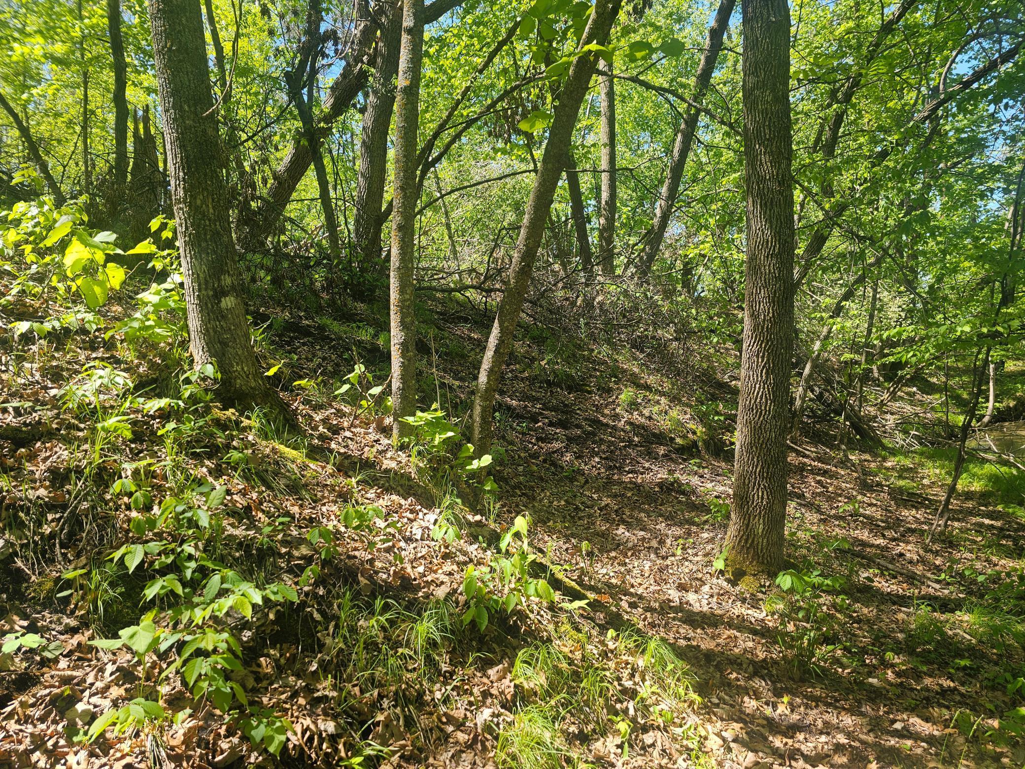 8366 Hidden Creek Court, Pequot Lakes, Minnesota image 11