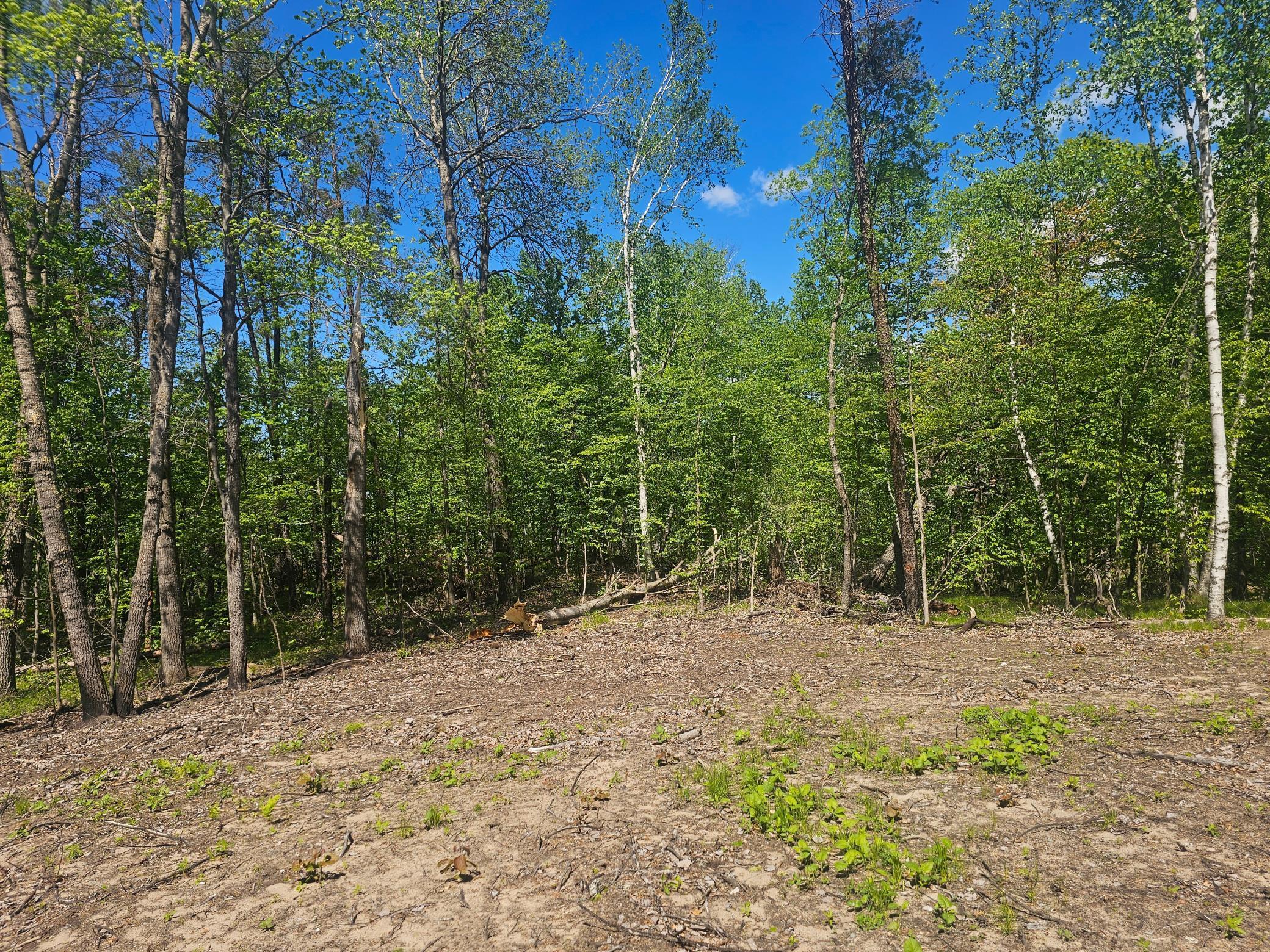 8366 Hidden Creek Court, Pequot Lakes, Minnesota image 17