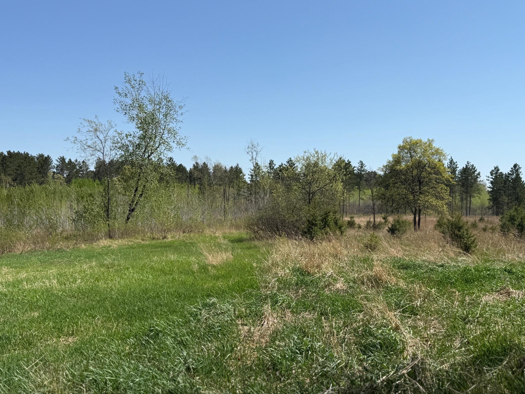 6 Acre Lot Nagel Road, Pequot Lakes, Minnesota image 3