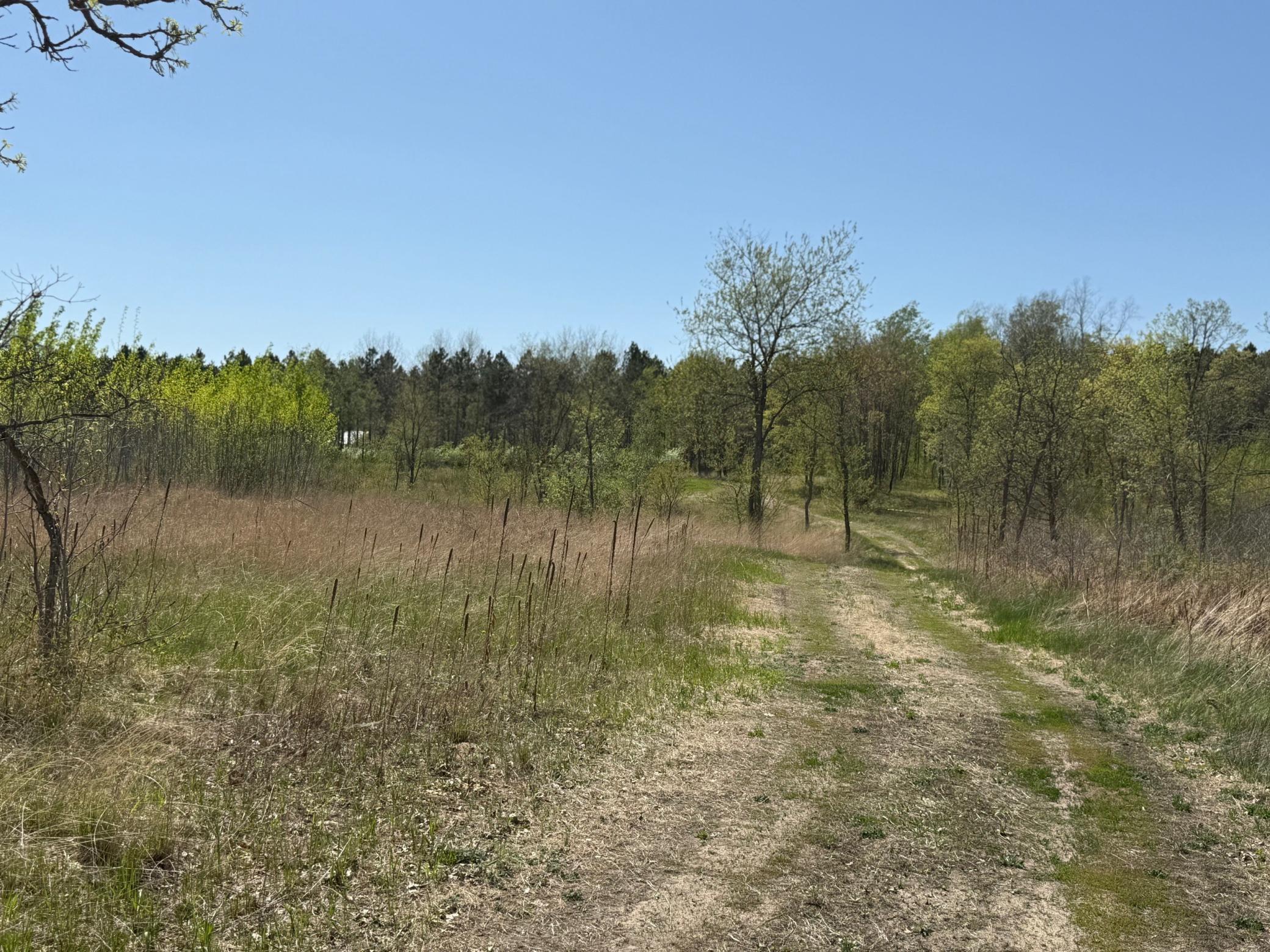 6 Acre Lot Nagel Road, Pequot Lakes, Minnesota image 7