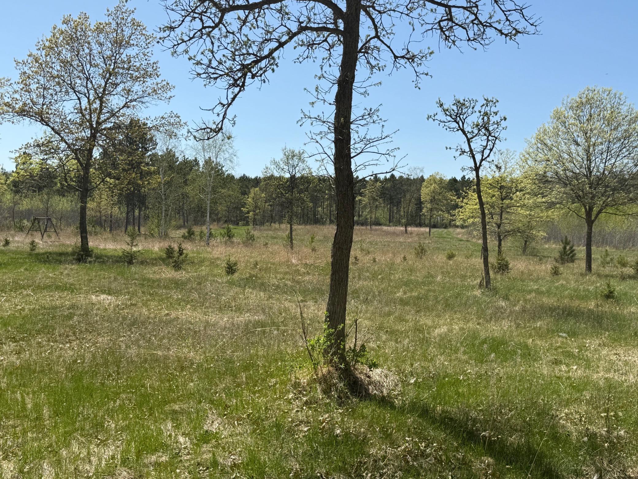 6 Acre Lot Nagel Road, Pequot Lakes, Minnesota image 9