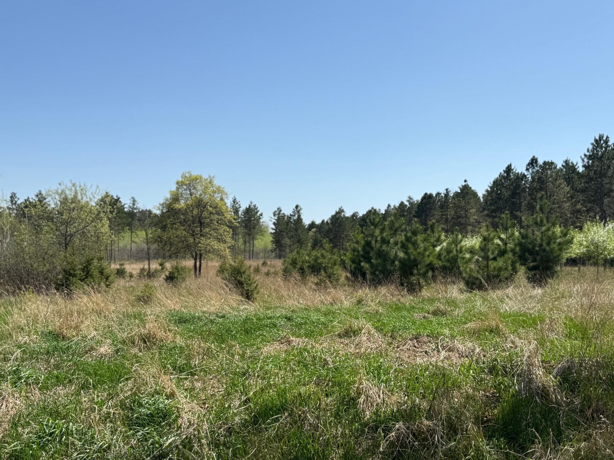 6 Acre Lot Nagel Road, Pequot Lakes, Minnesota image 6