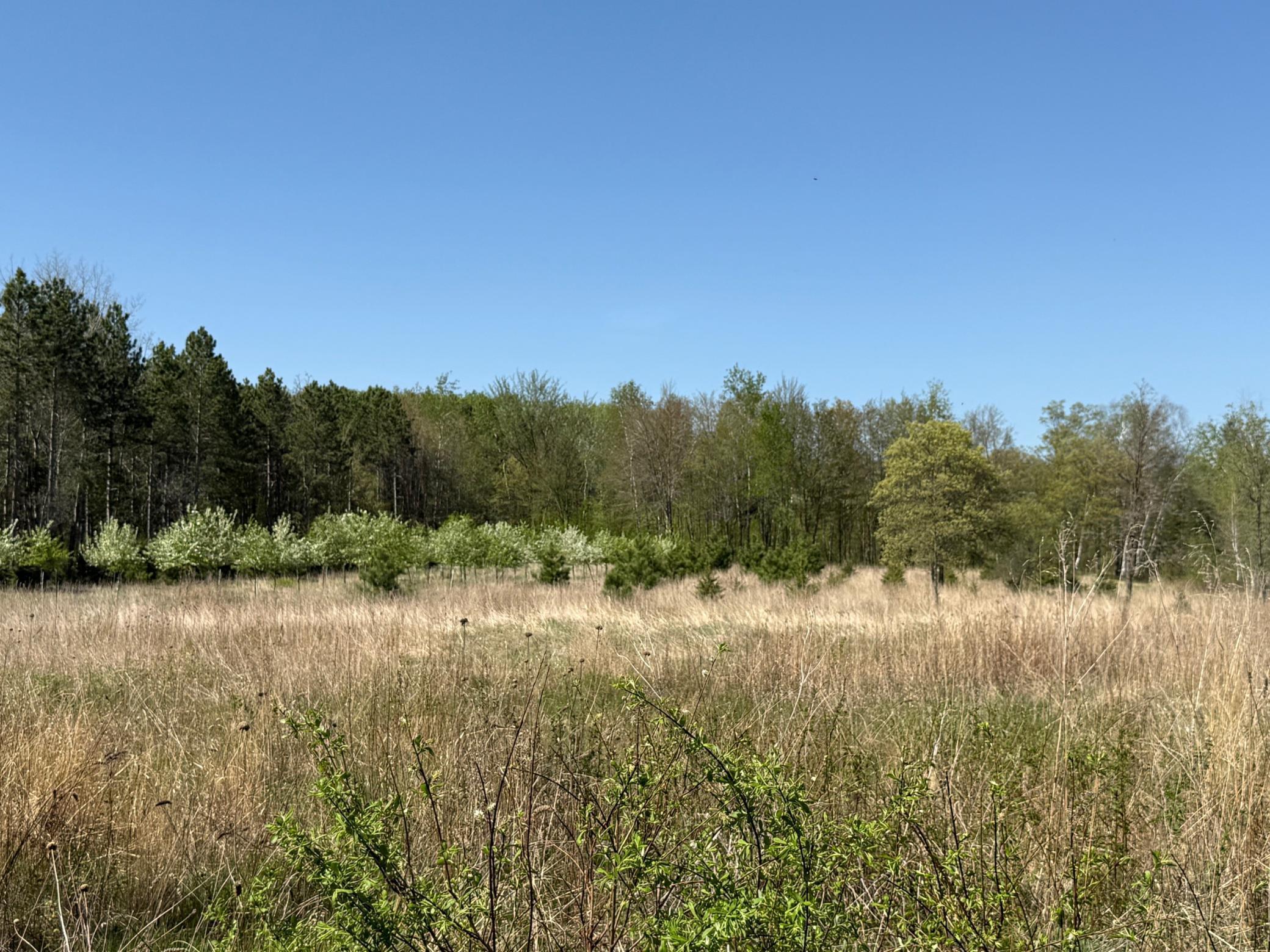 6 Acre Lot Nagel Road, Pequot Lakes, Minnesota image 5