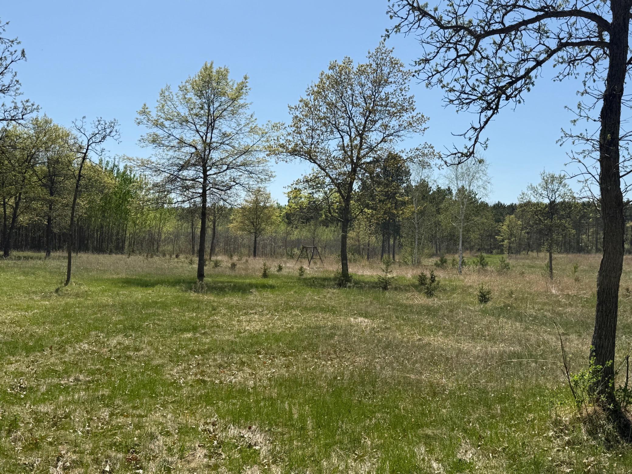 6 Acre Lot Nagel Road, Pequot Lakes, Minnesota image 8