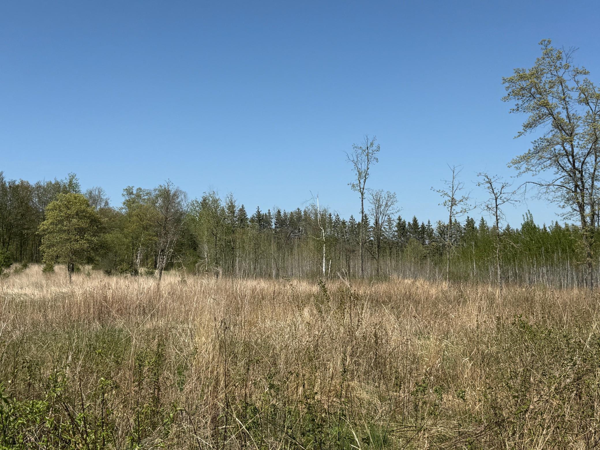 6 Acre Lot Nagel Road, Pequot Lakes, Minnesota image 4