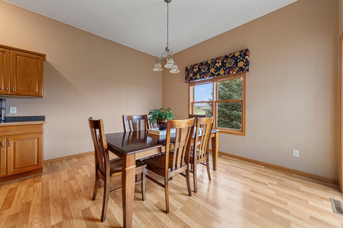 375 Hickory Lane, Owatonna, Minnesota image 10