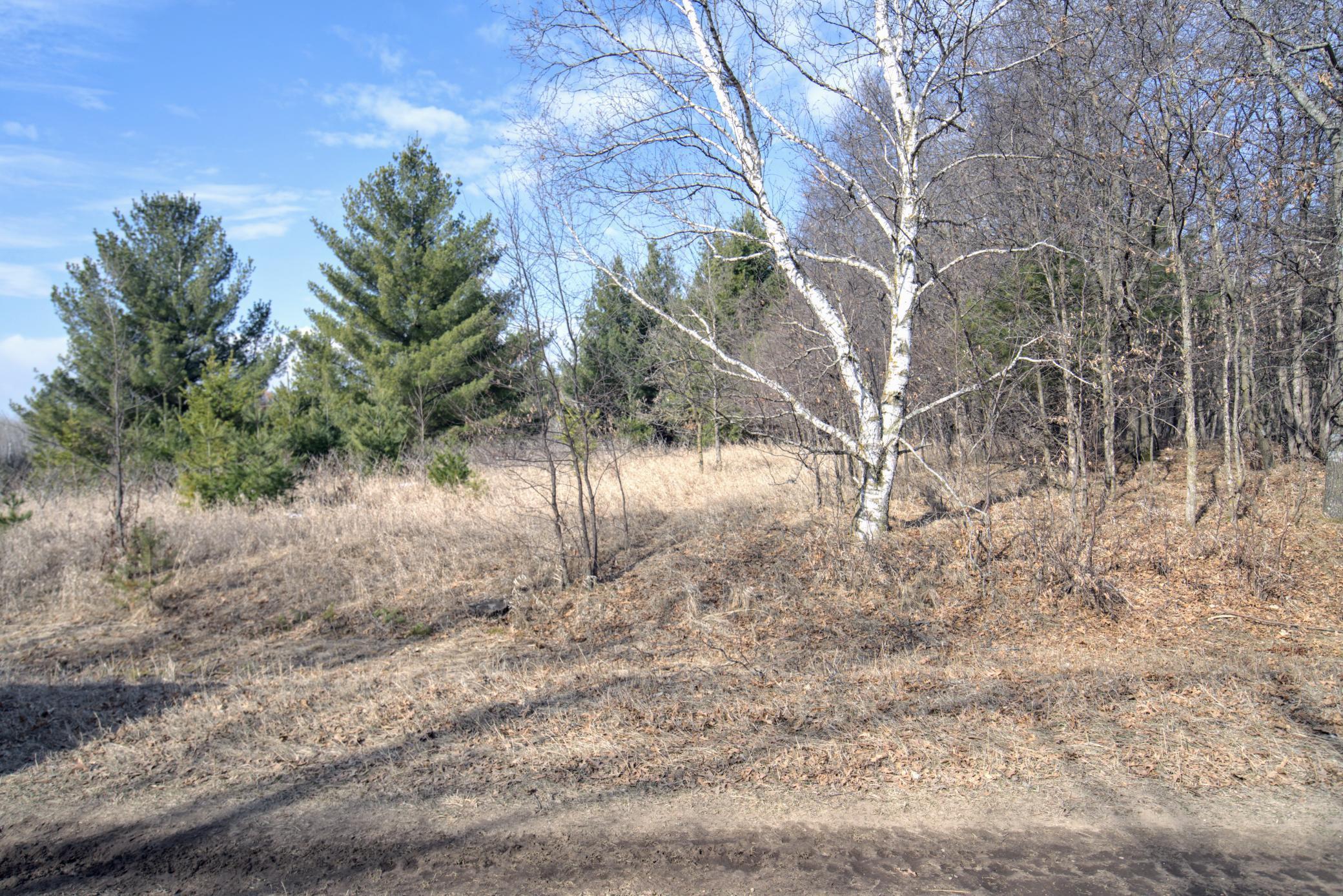 TBD Pacer Loop, Browerville, Minnesota image 5