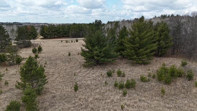 TBD Pacer Loop, Browerville, Minnesota image 9
