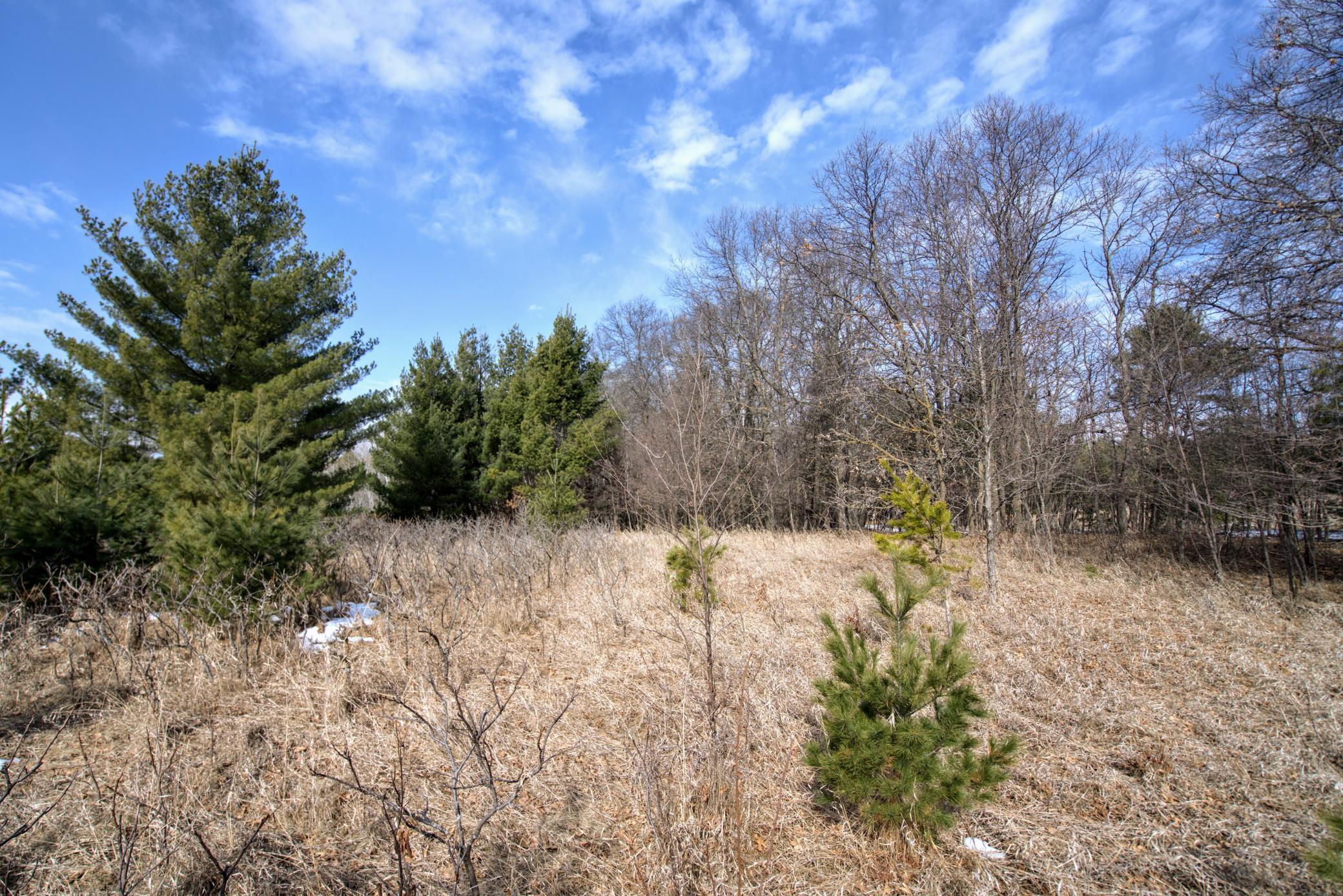TBD Pacer Loop, Browerville, Minnesota image 2