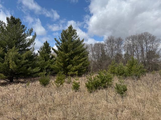 TBD Pacer Loop, Browerville, Minnesota image 15